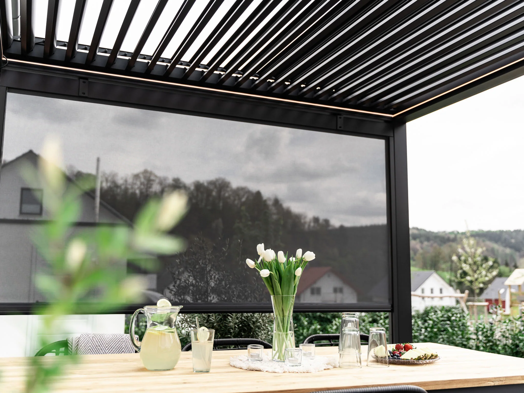 Retractable Screens for S1 - Image 6